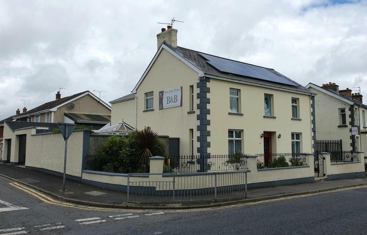 Rose Park House Bed & Breakfast Londonderry Bagian luar foto