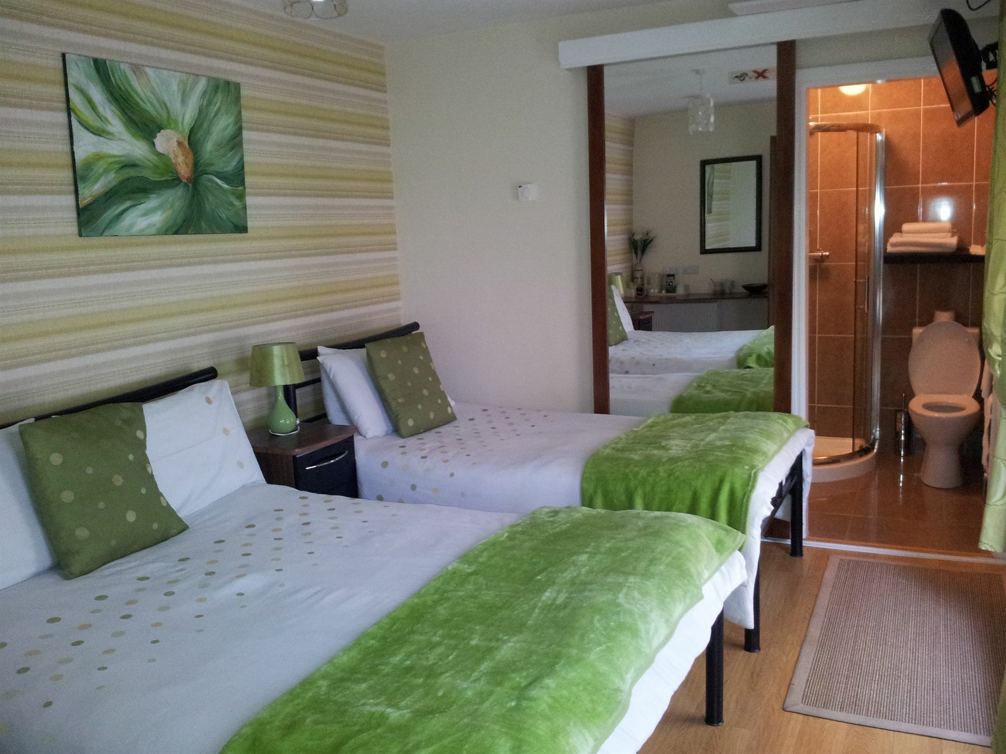 Rose Park House Bed & Breakfast Londonderry Bagian luar foto